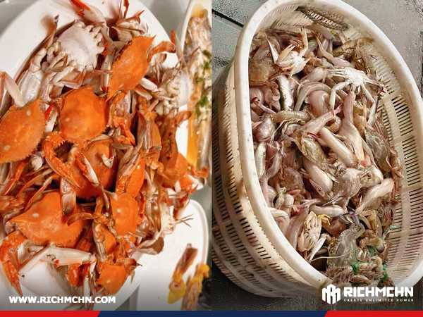Lonchain Group Team Enjoys Coastal Retreat in Xiangshan