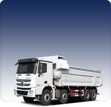 Truck & Special Vehicle